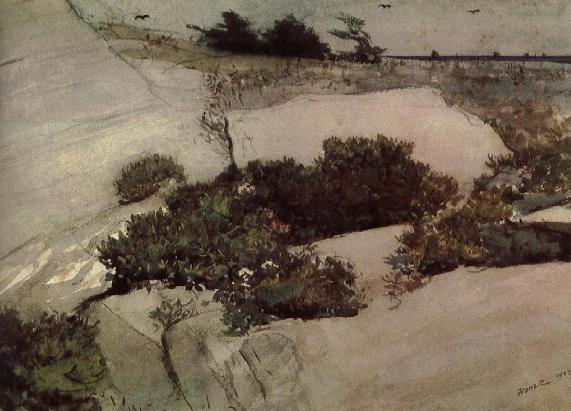 Winslow Homer Maine cliffs France oil painting art